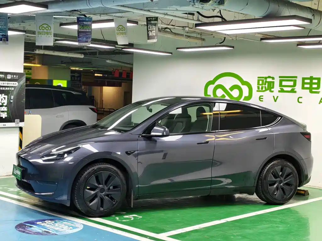 Tesla Model Y — миниатюра 2