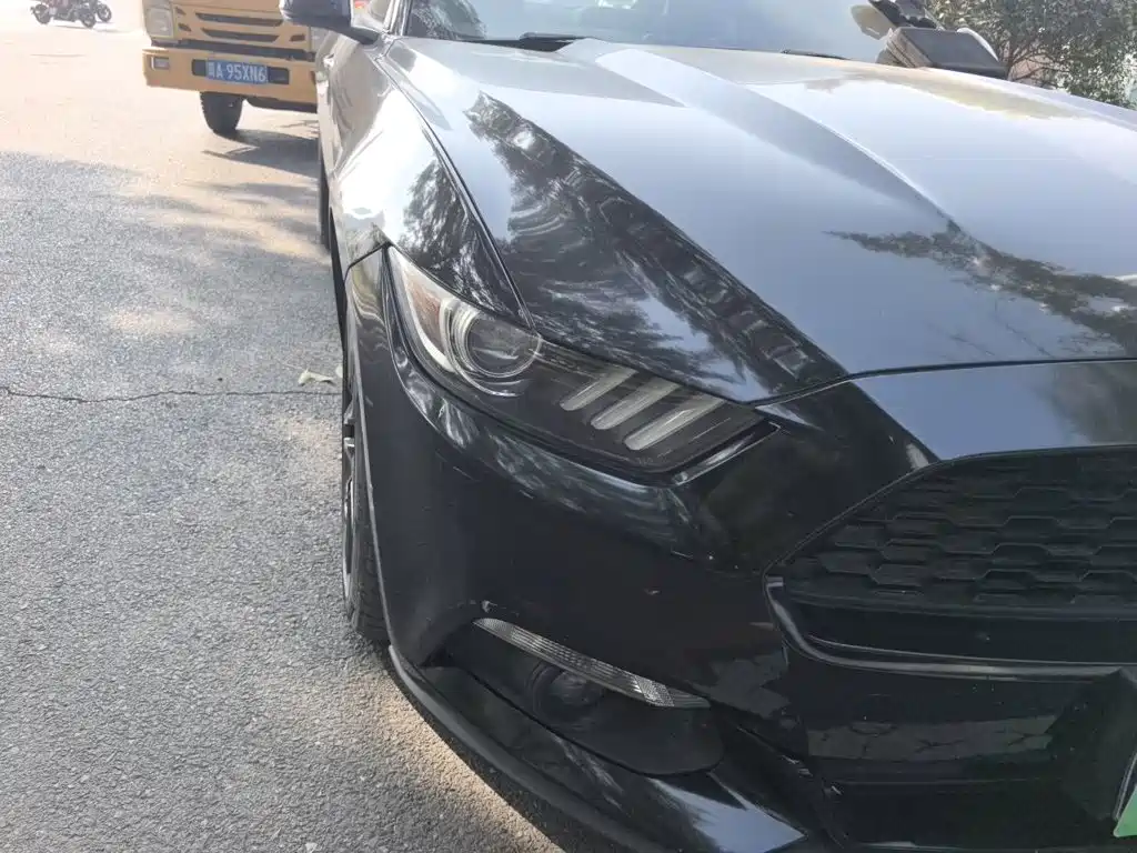 Ford Mustang — миниатюра 7
