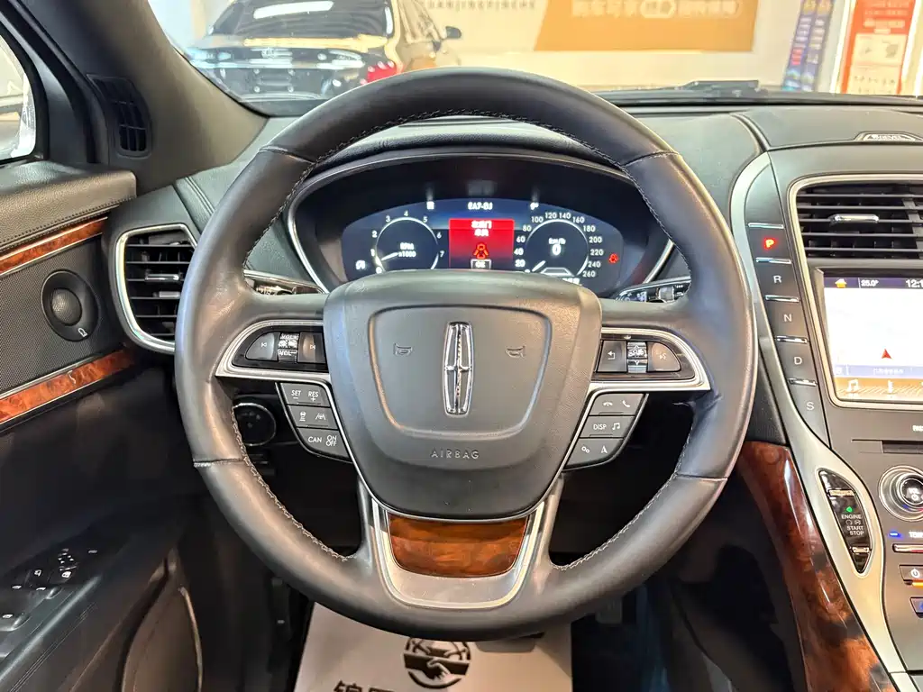 LINCOLN NAVIGATOR (IMPORT)