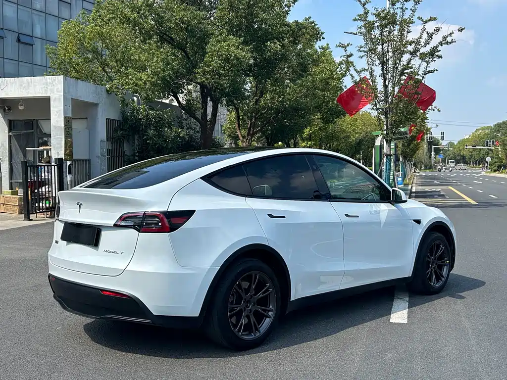 Tesla Model Y — миниатюра 3