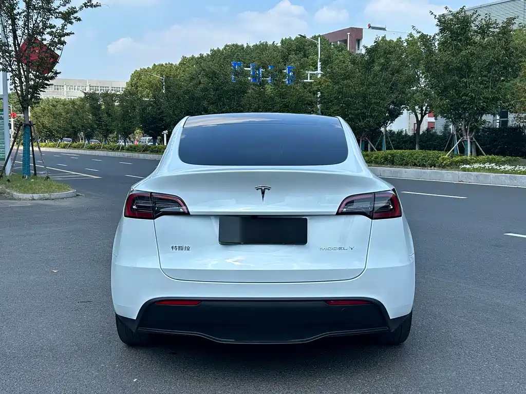 Tesla Model Y — миниатюра 4