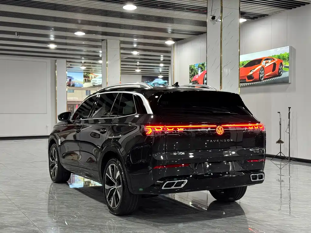 Volkswagen Tavendor 380TSI 4WD R-Line Patrol Ceremony Edition, фото 18