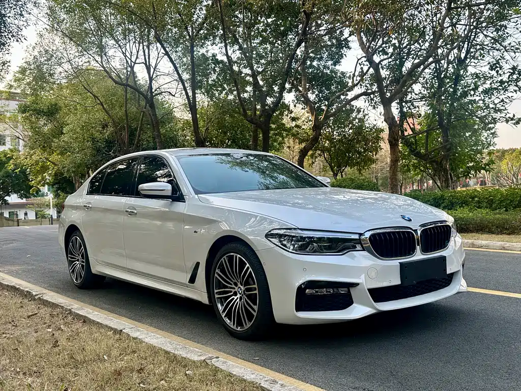 BMW 5 SERIES