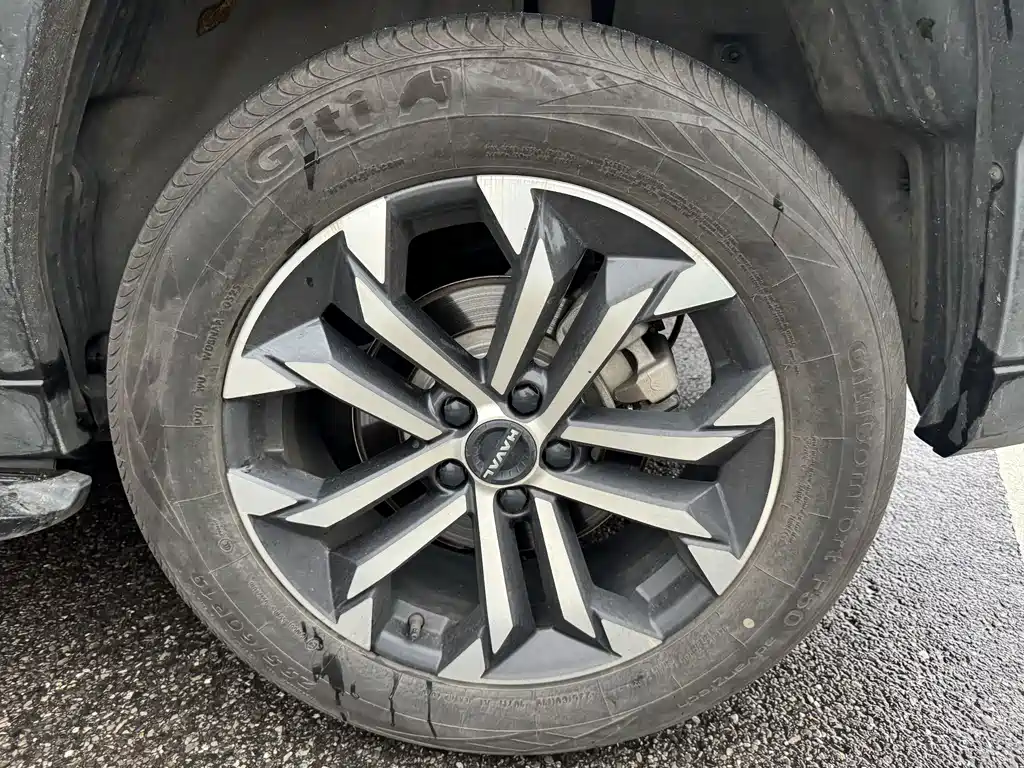 Haval Haval Big Dog PLUS — миниатюра 9