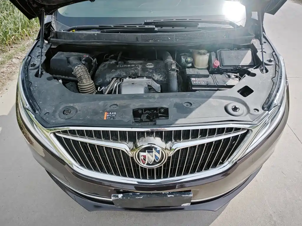 Buick GL8 — миниатюра 6
