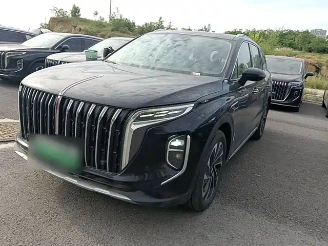 2024 Hongqi HS7
