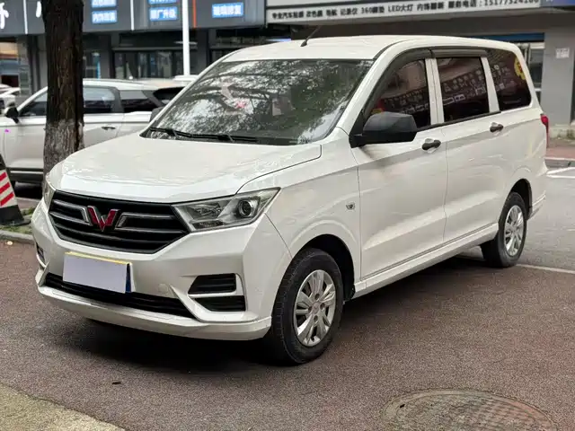 2019 Wuling Motors Hongguang