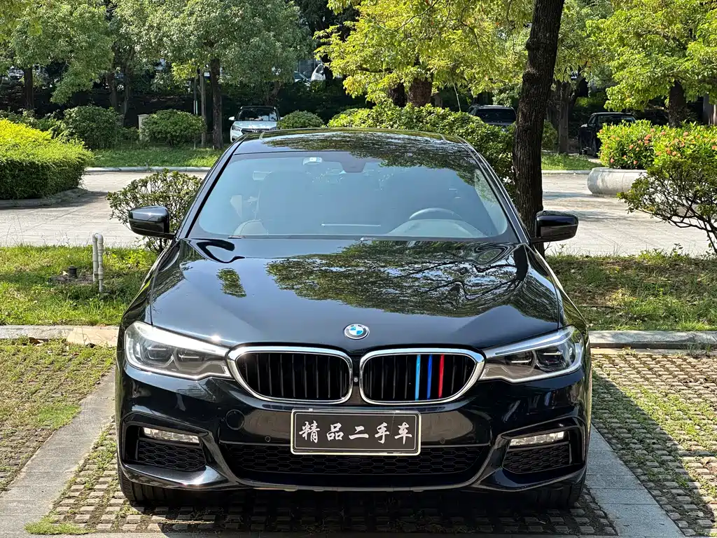 BMW 5 SERIES