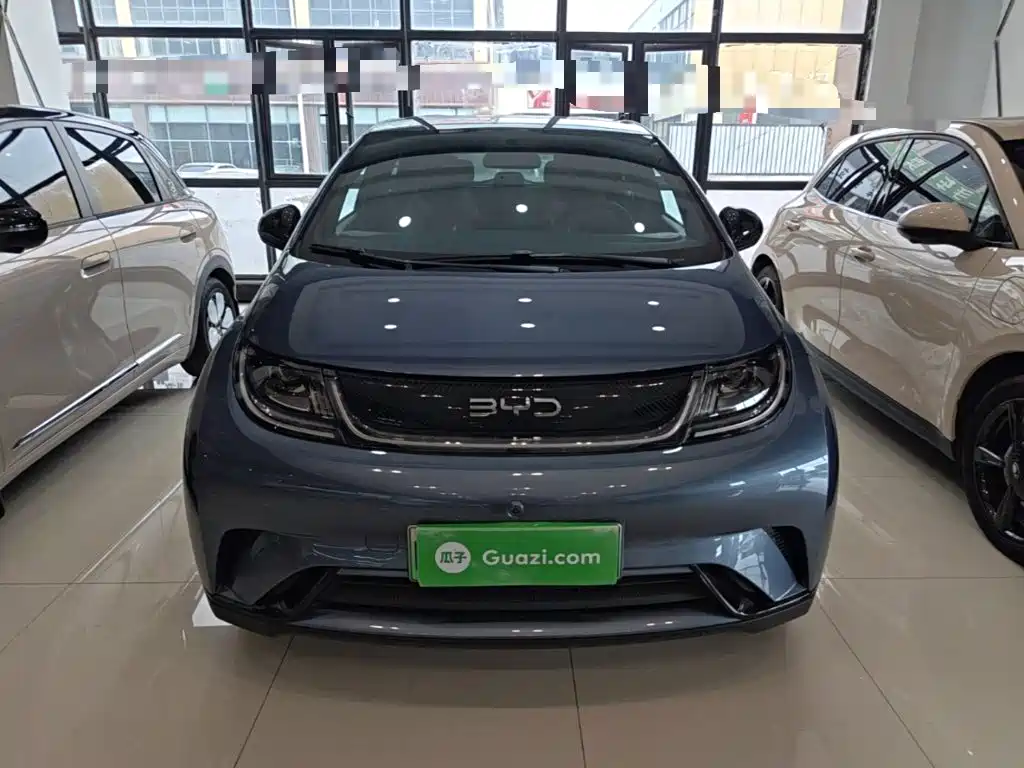 BYD Dolphin — миниатюра 3