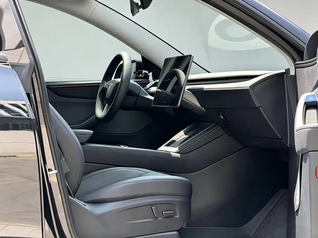 Tesla Model Y — миниатюра 5