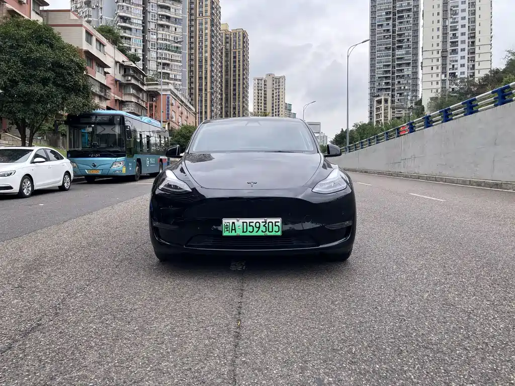 Tesla Model Y — миниатюра 2