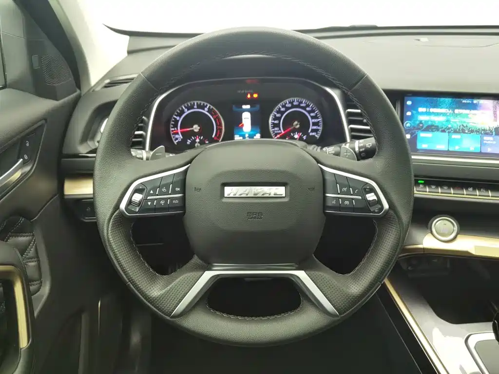 Haval H6 — миниатюра 11