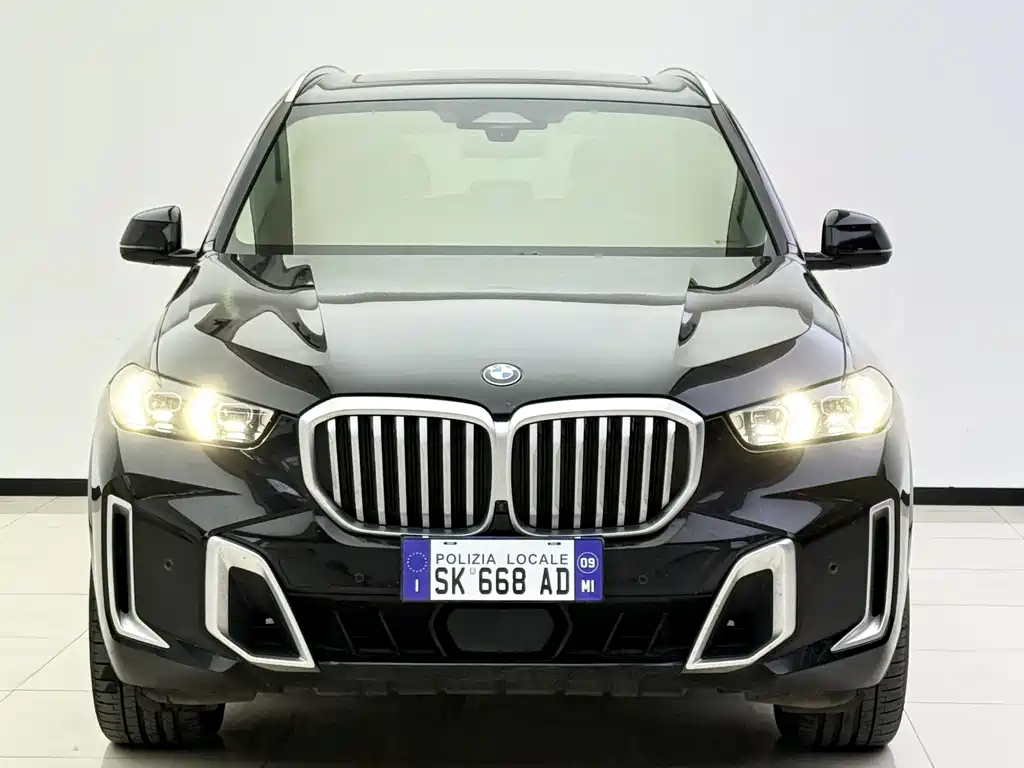 BMW X5 — миниатюра 3