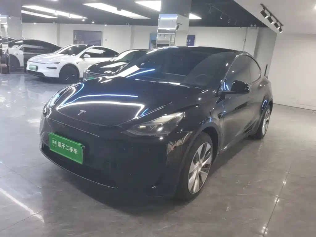 Tesla Model Y — миниатюра 2