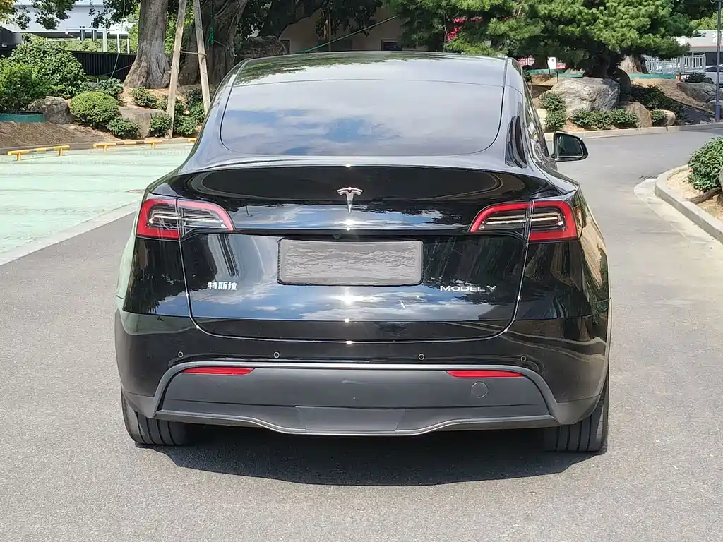 Tesla Model Y — миниатюра 17