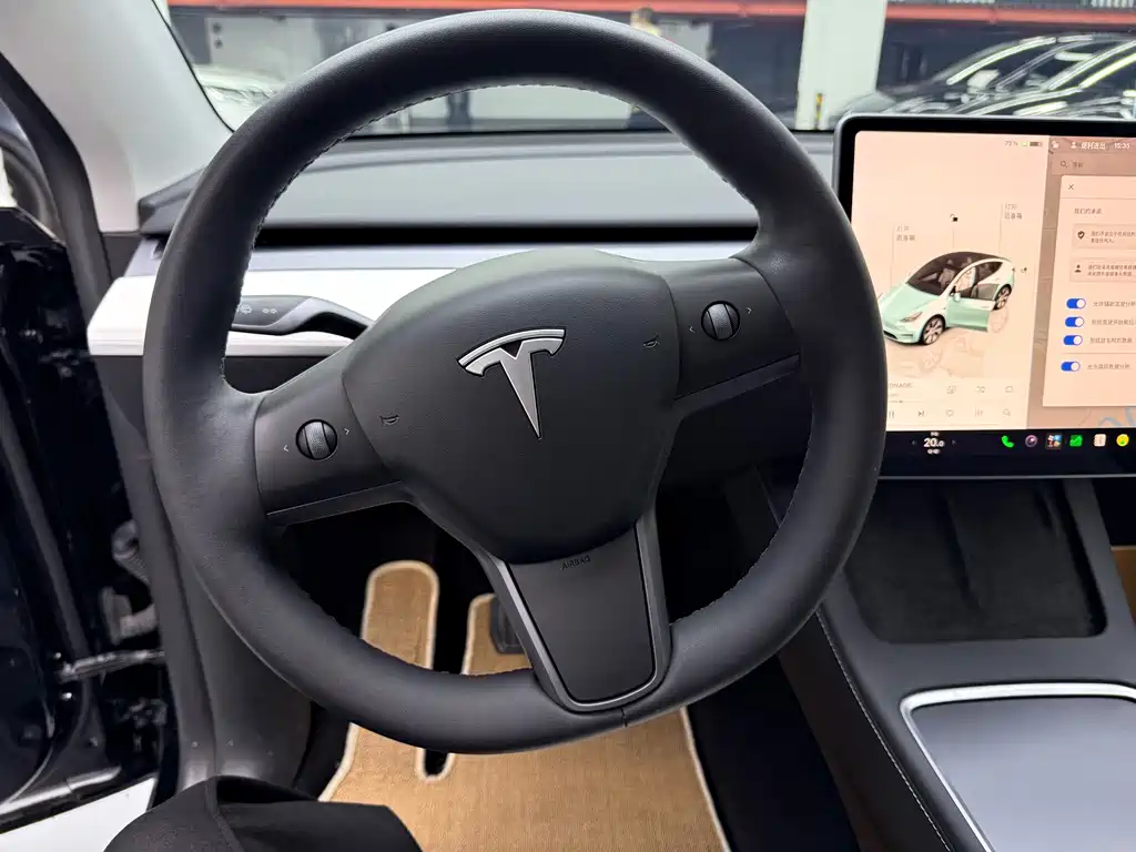 Tesla Model Y — миниатюра 6