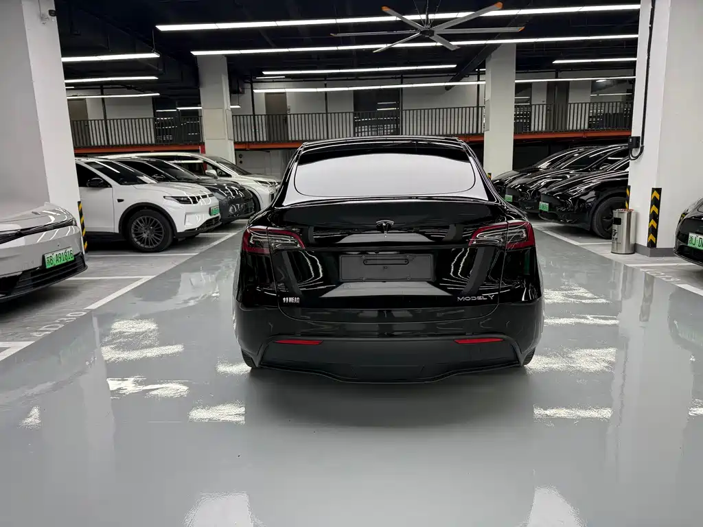 Tesla Model Y — миниатюра 14