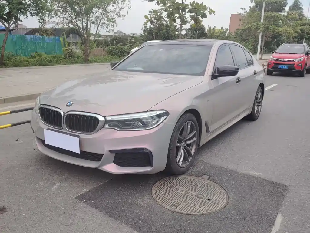 BMW 5 Series (Import) 2020