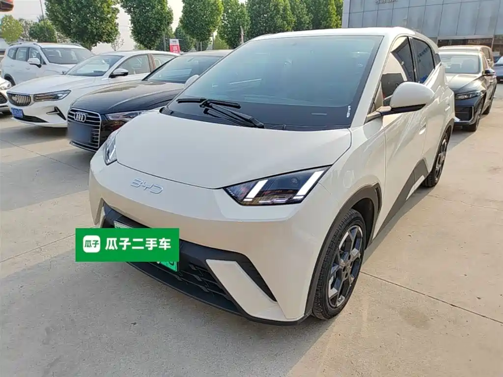 Byd Seagull 2025