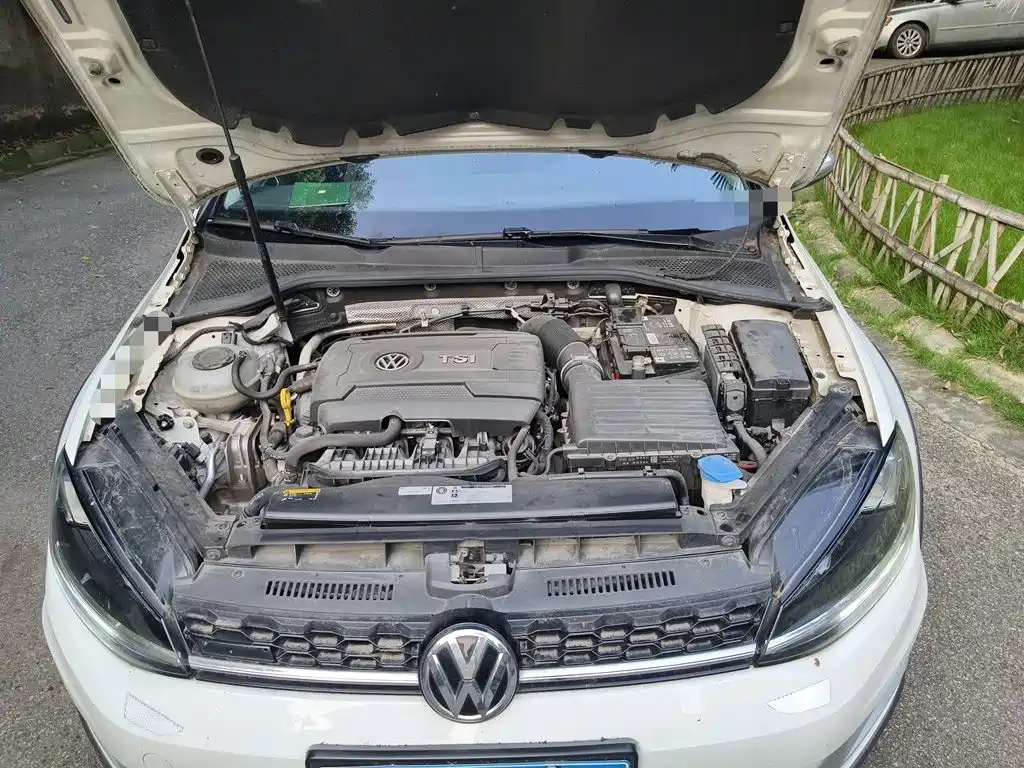 Volkswagen Golf (Import) — миниатюра 21