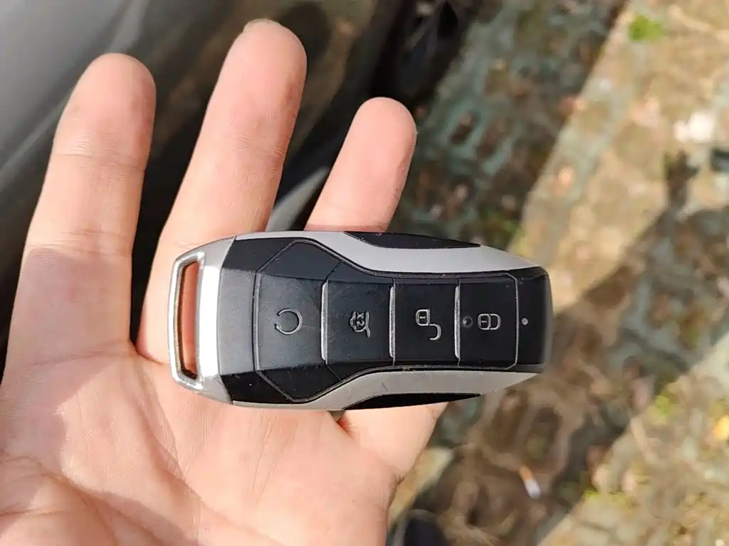 BYD PLUS — миниатюра 9
