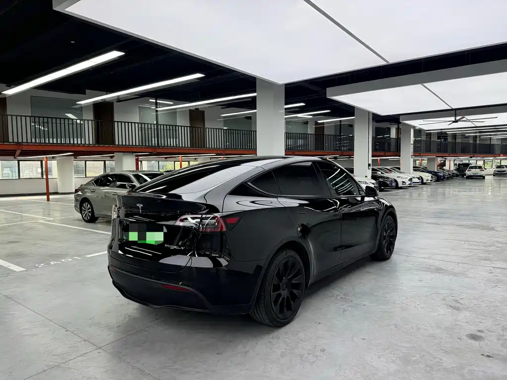 Tesla Model Y — миниатюра 13