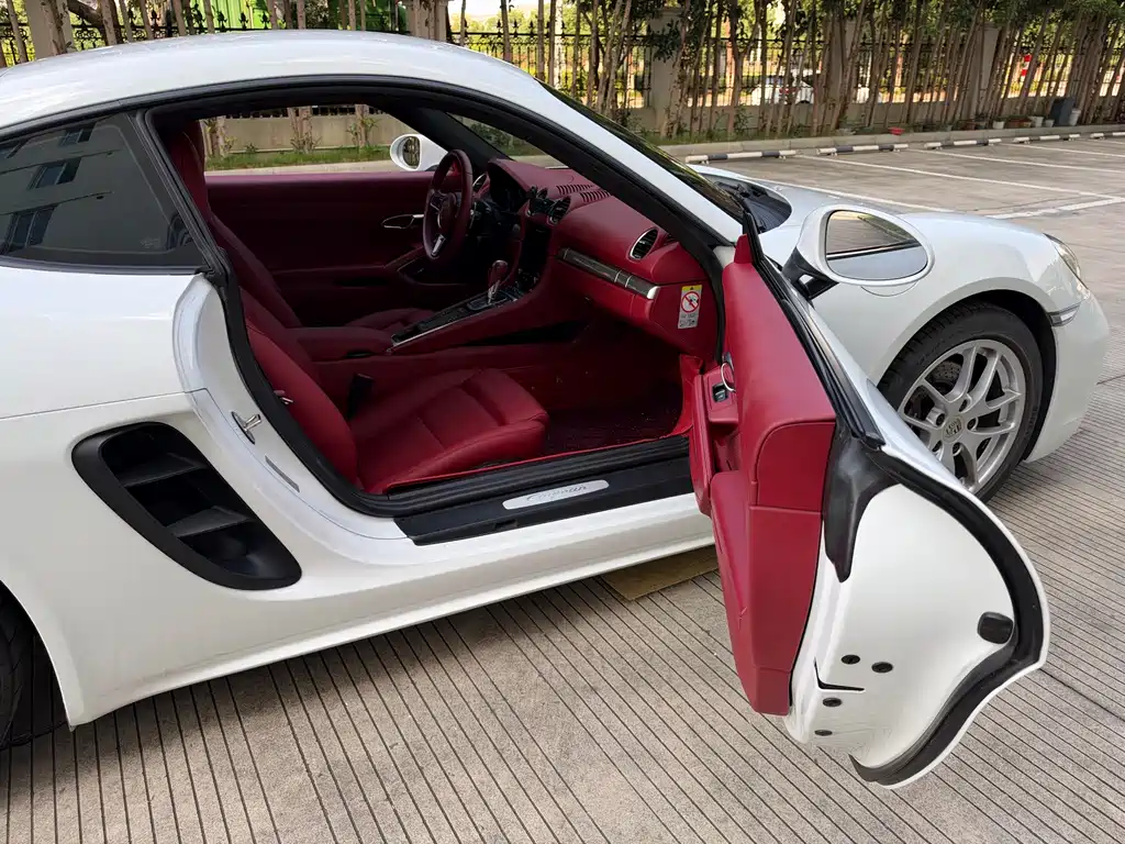 Porsche 718 — миниатюра 20
