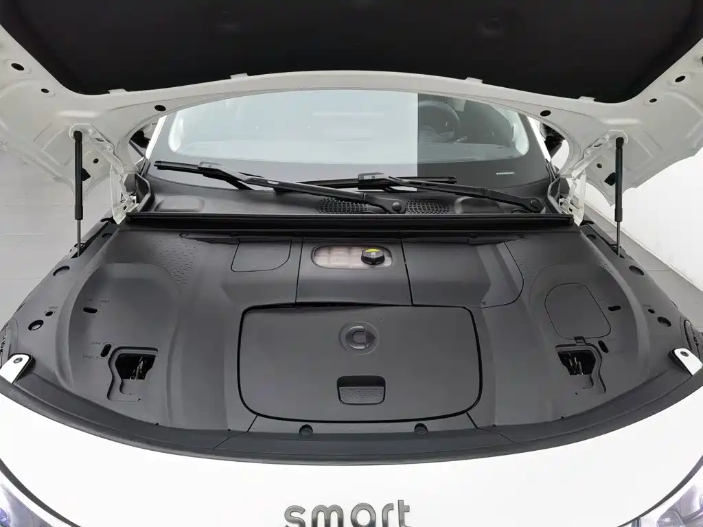 smart Smart #3 — миниатюра 6