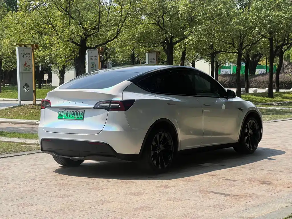 Tesla Model Y — миниатюра 7