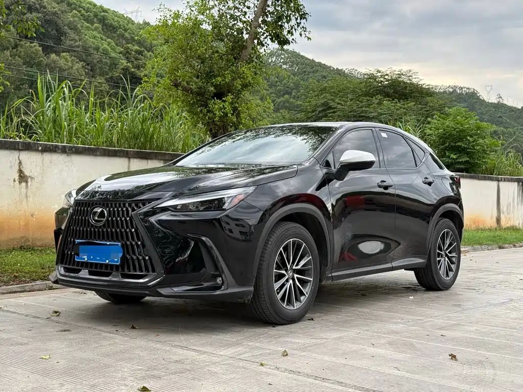 Lexus NX — миниатюра 19