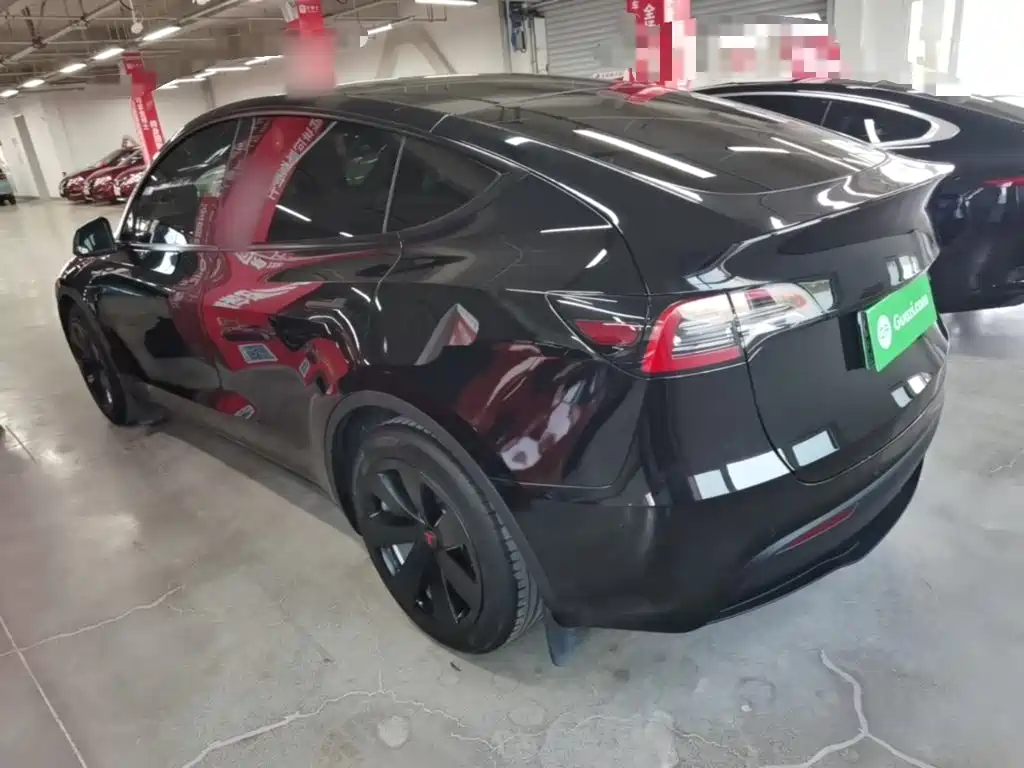 Tesla Model Y — миниатюра 5