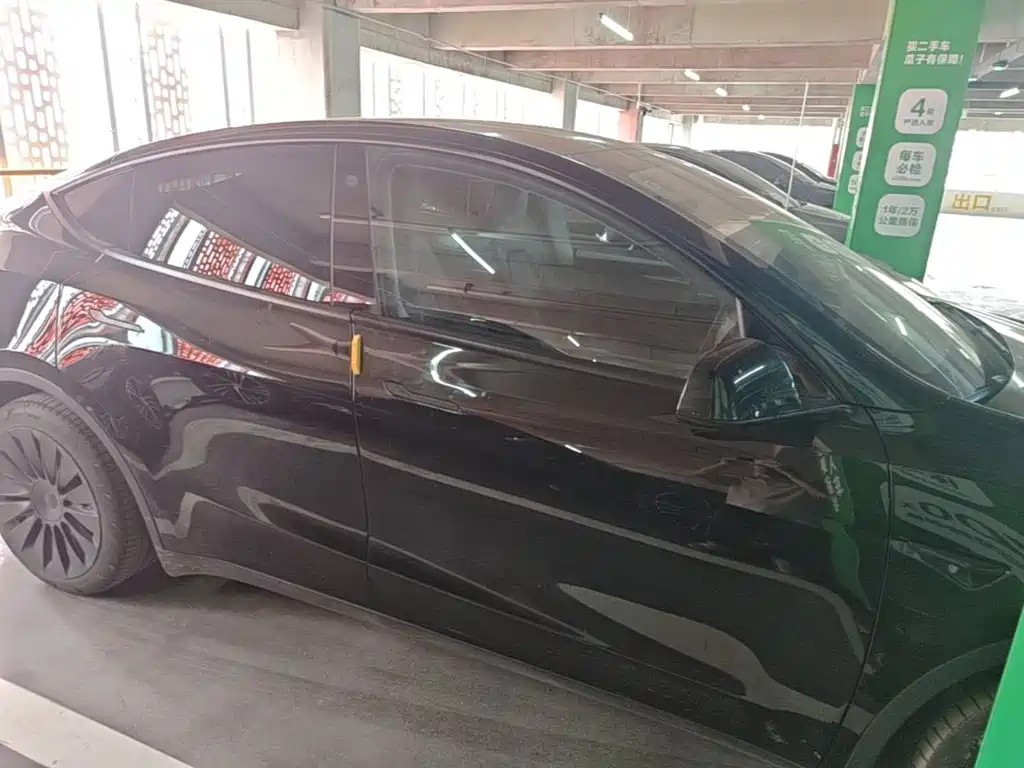Tesla Model Y — миниатюра 27