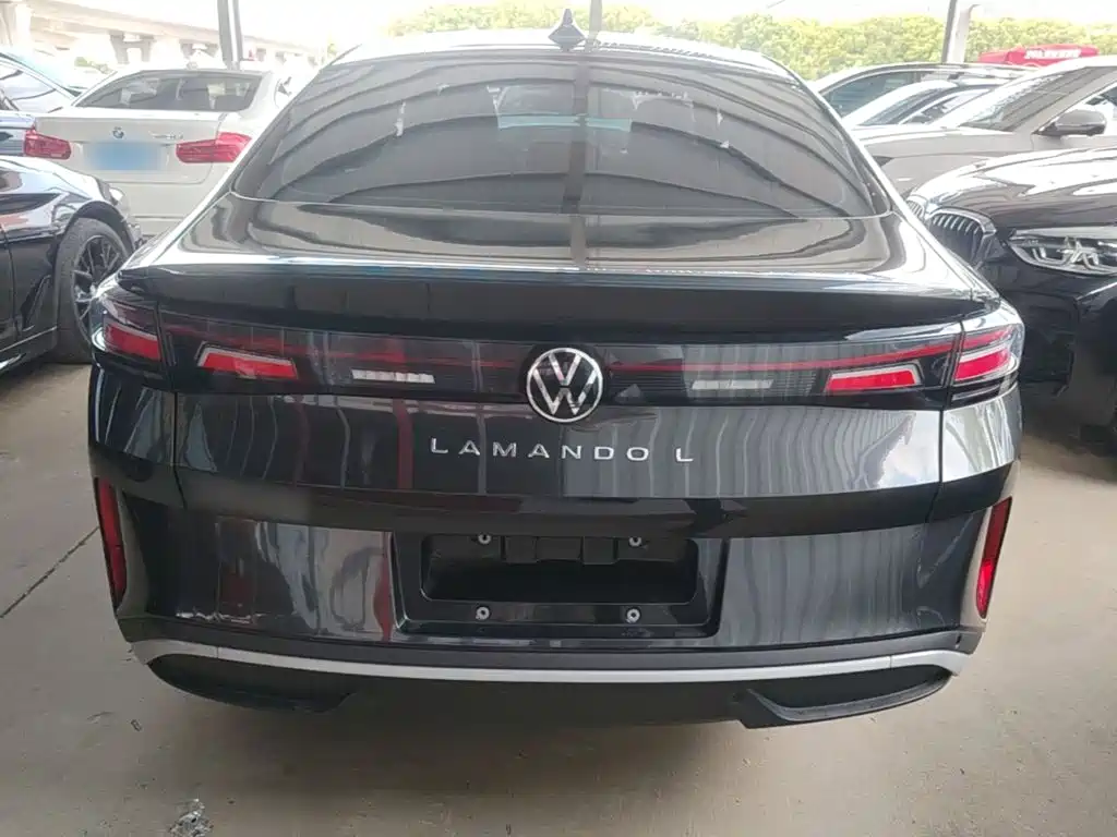 Volkswagen Lamando — миниатюра 6