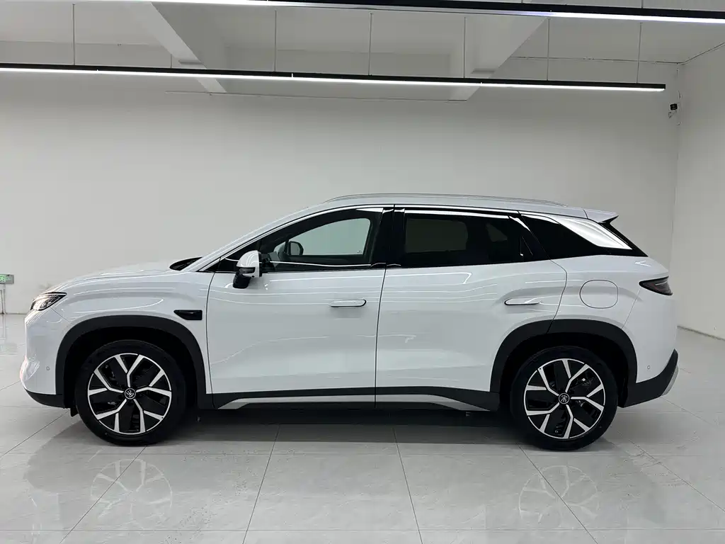 BYD Song L DM-i L DM-i 2025 Smart Drive 160km