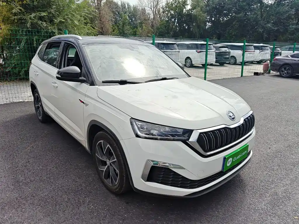 Skoda Kamiq — миниатюра 4