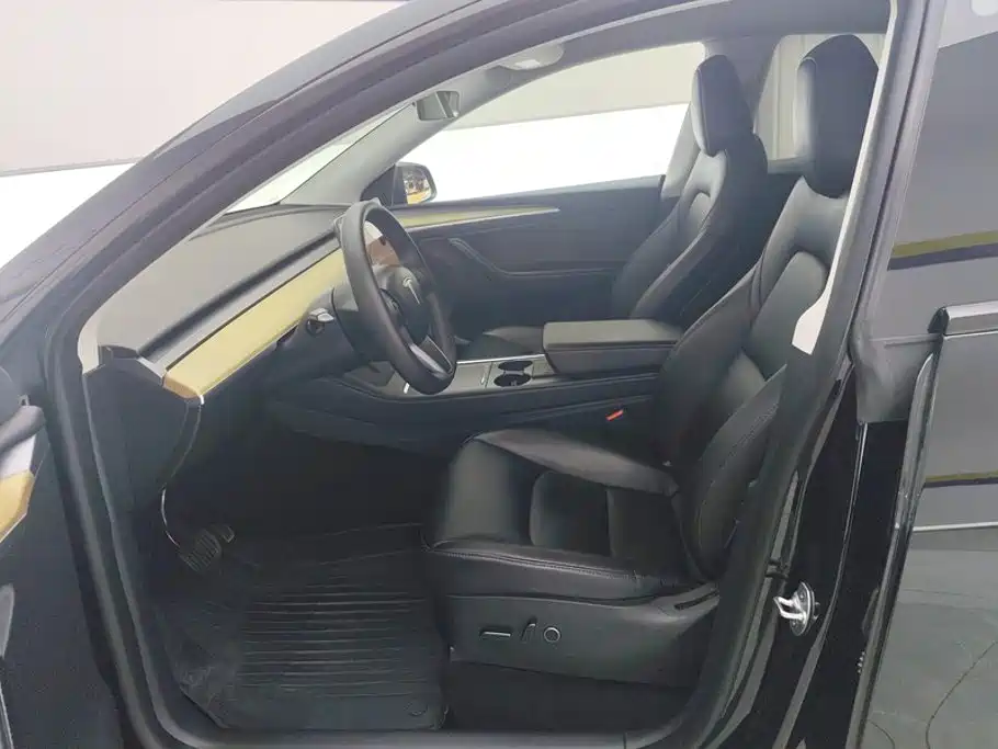 Tesla Model Y — миниатюра 9