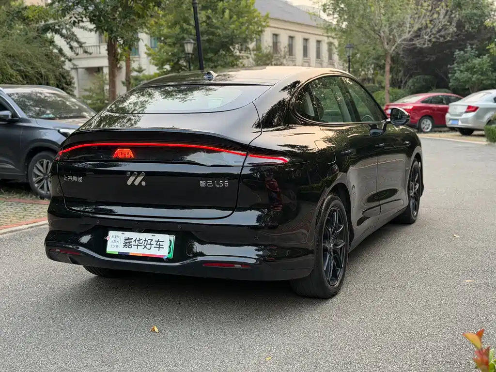 IM IM LS6 — миниатюра 12