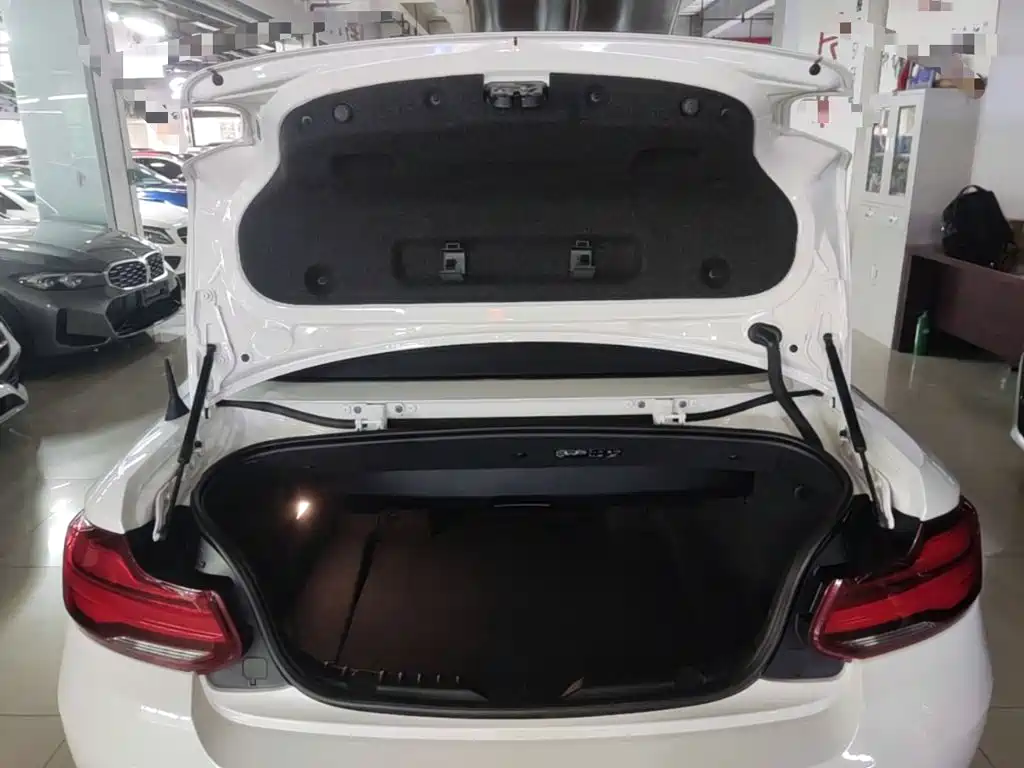 BMW 2 Series (Import) — миниатюра 19
