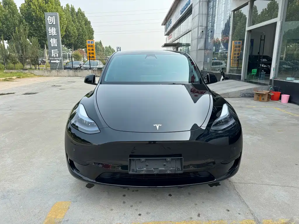 Tesla Model Y — миниатюра 2