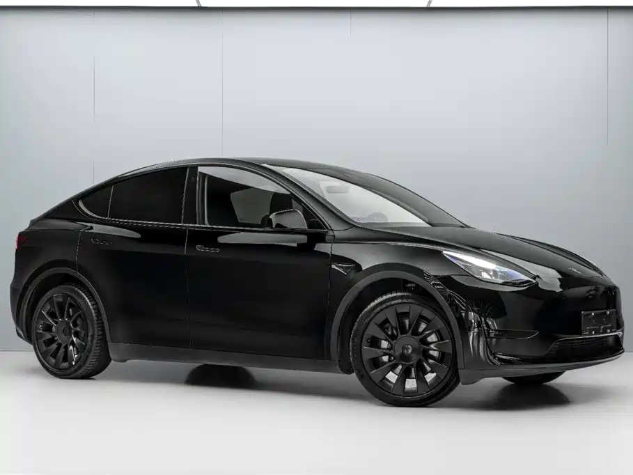 Tesla Model Y — миниатюра 3