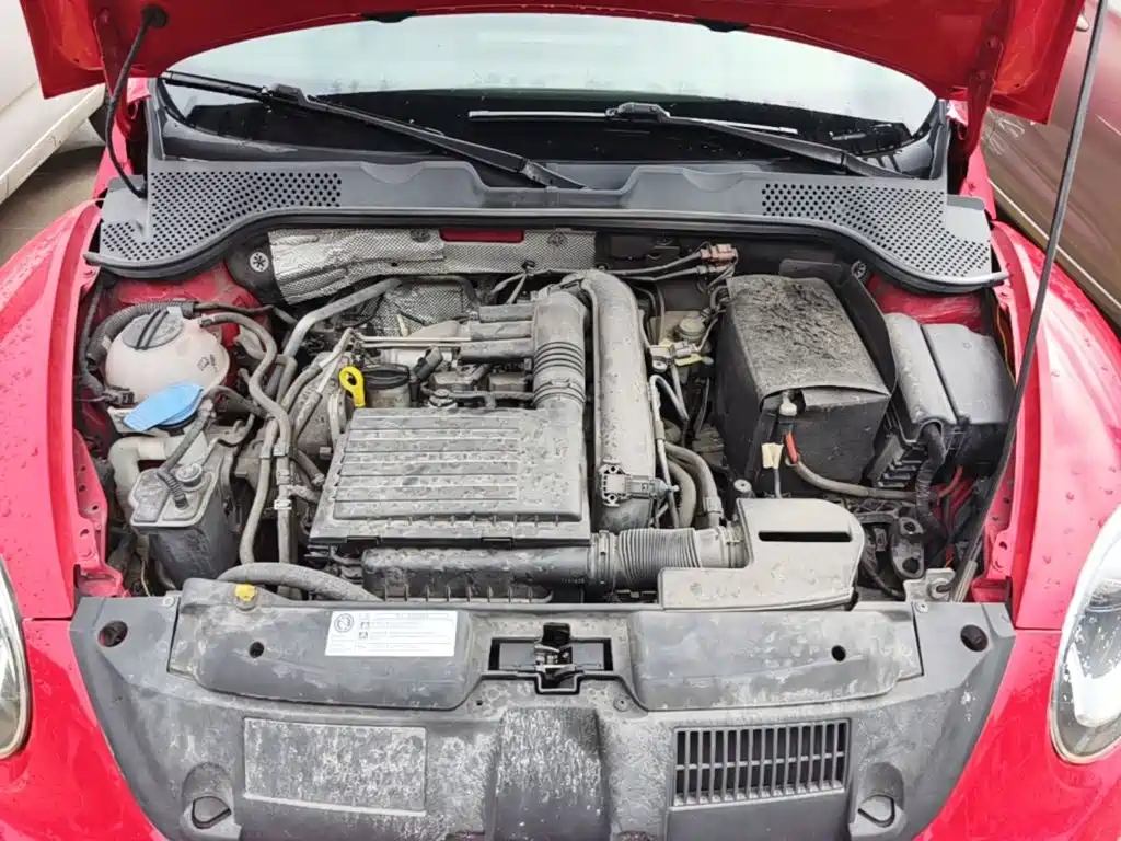 Volkswagen Beetle — миниатюра 20
