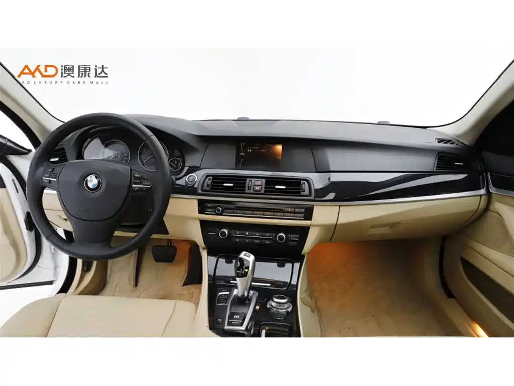 BMW 5 Series — миниатюра 5