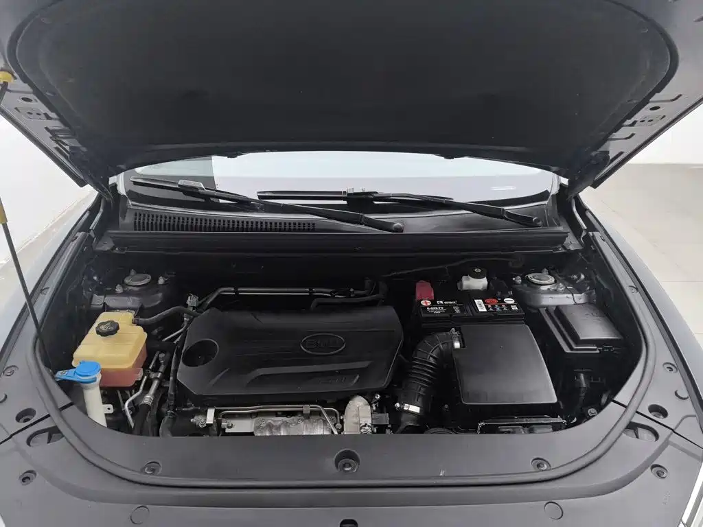BYD Pro — миниатюра 6