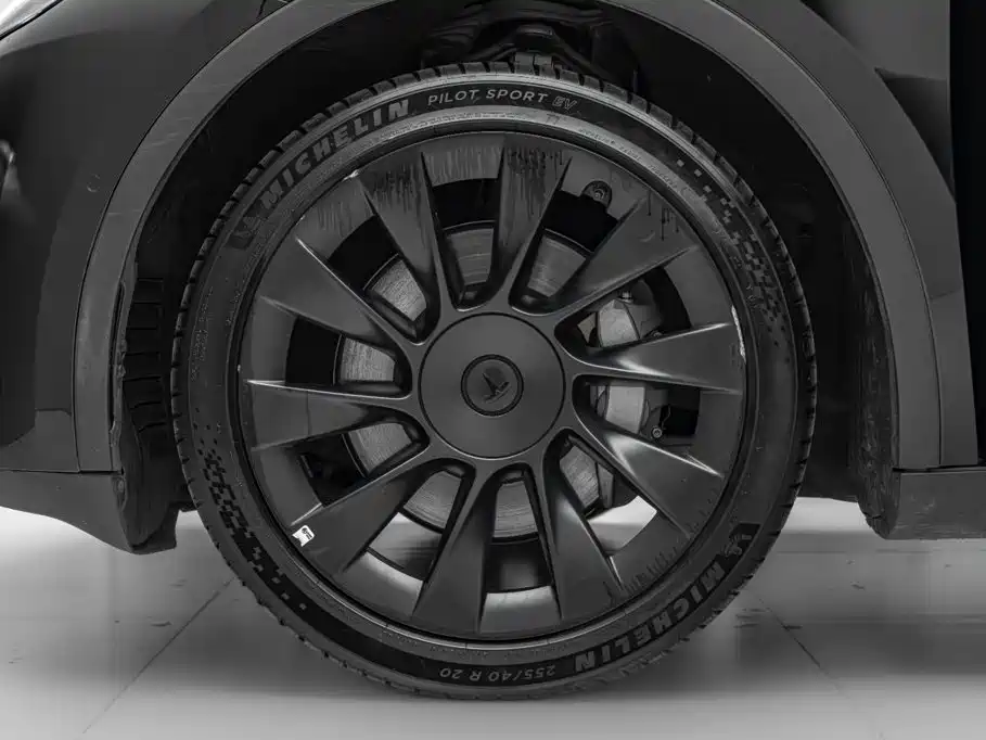 Tesla Model Y — миниатюра 29