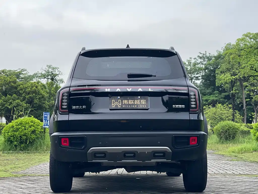 Haval Big Dog — миниатюра 5