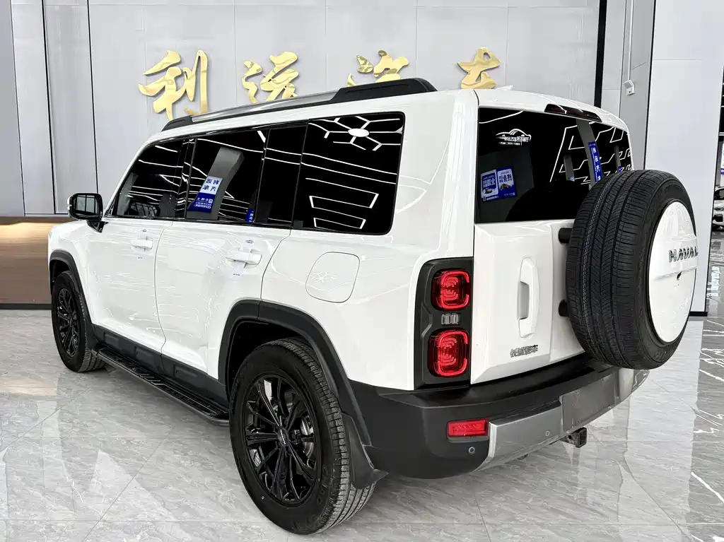Haval Menglong New Energy — миниатюра 15