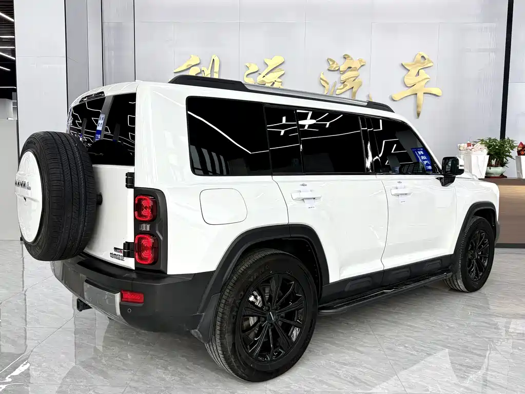 Haval Menglong New Energy — миниатюра 17