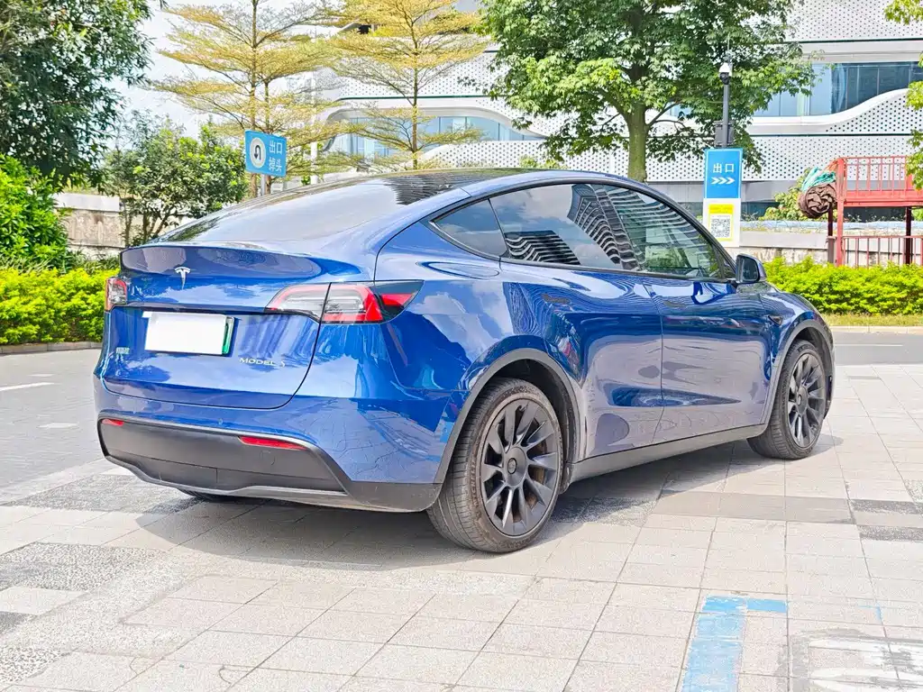 Tesla Model Y — миниатюра 3