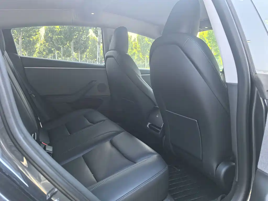 Tesla Model 3 — миниатюра 6