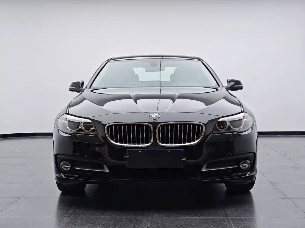 BMW 5 Series (Import) — миниатюра 2